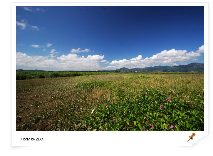 ��������̲