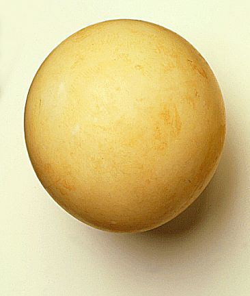 egg