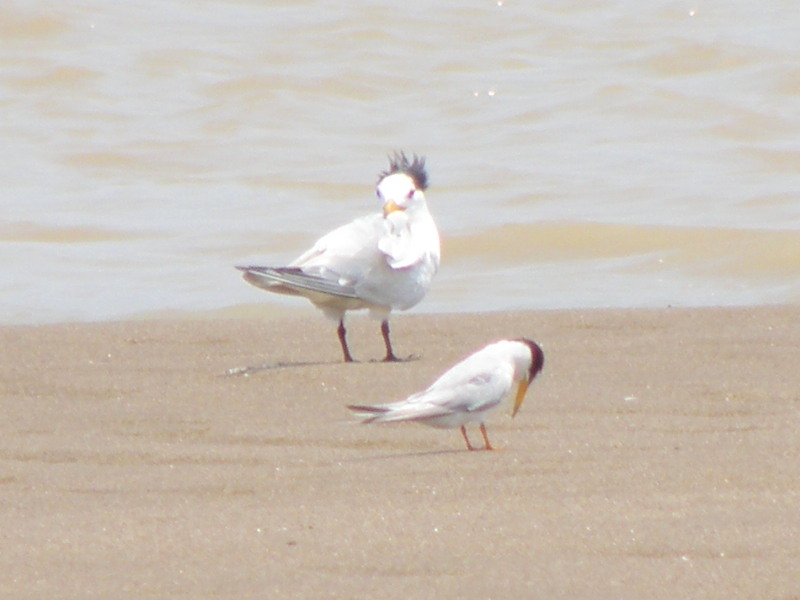 �����ǲ��ǲ�һ���ˣ�