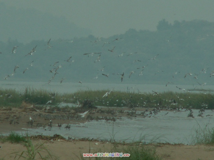 ����������������˸ж�����ɶʱ������ķɱ�������׷������ĳ����䣬������Ϊ�˶�����ص������أ���