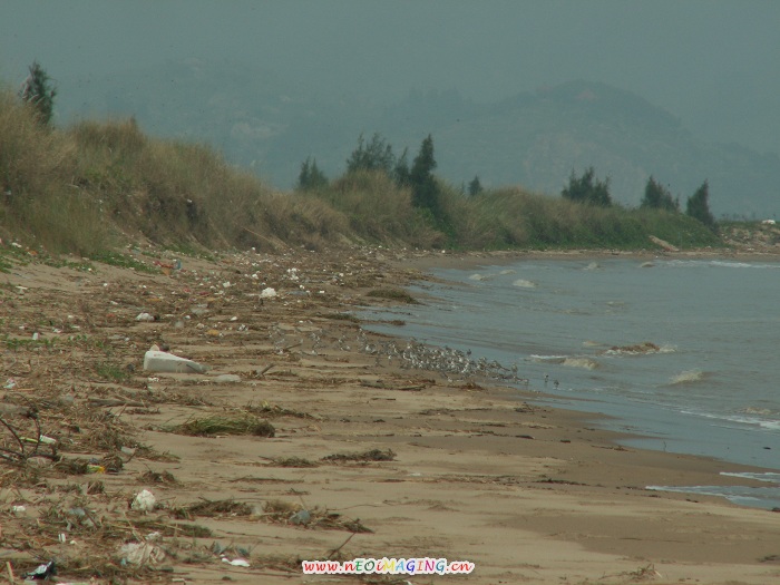 ��ֲ�������������������