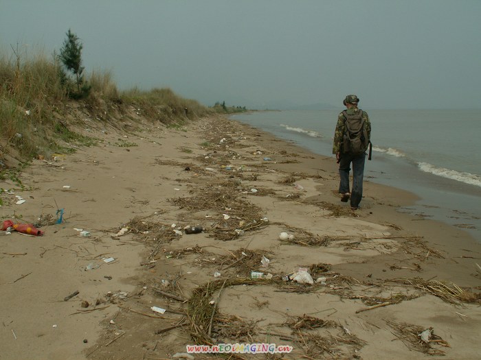 �����ڰ��߰�ɫ�����ϵ�ĳ��