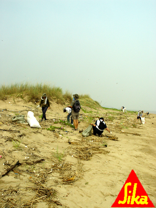 DSC06739.jpg