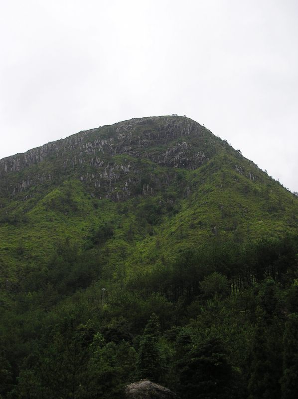 ��ľ���ƿ����˺ܶ�����