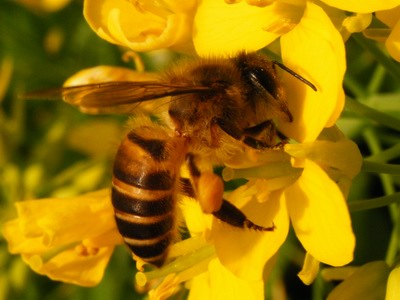DSCF3535.jpg