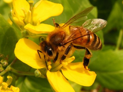 DSCF3539.jpg