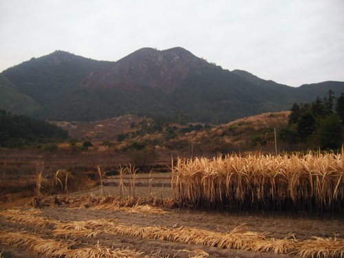 DSCF3566.jpg