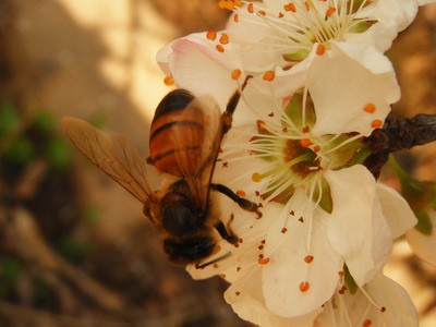 DSCF3543.jpg