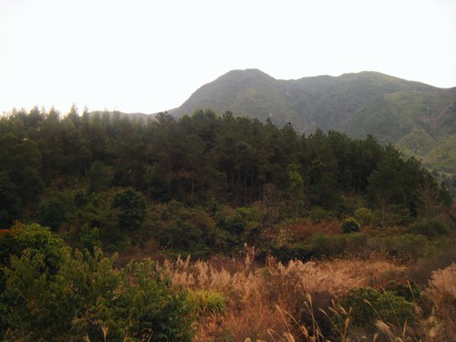 DSCF3569.jpg