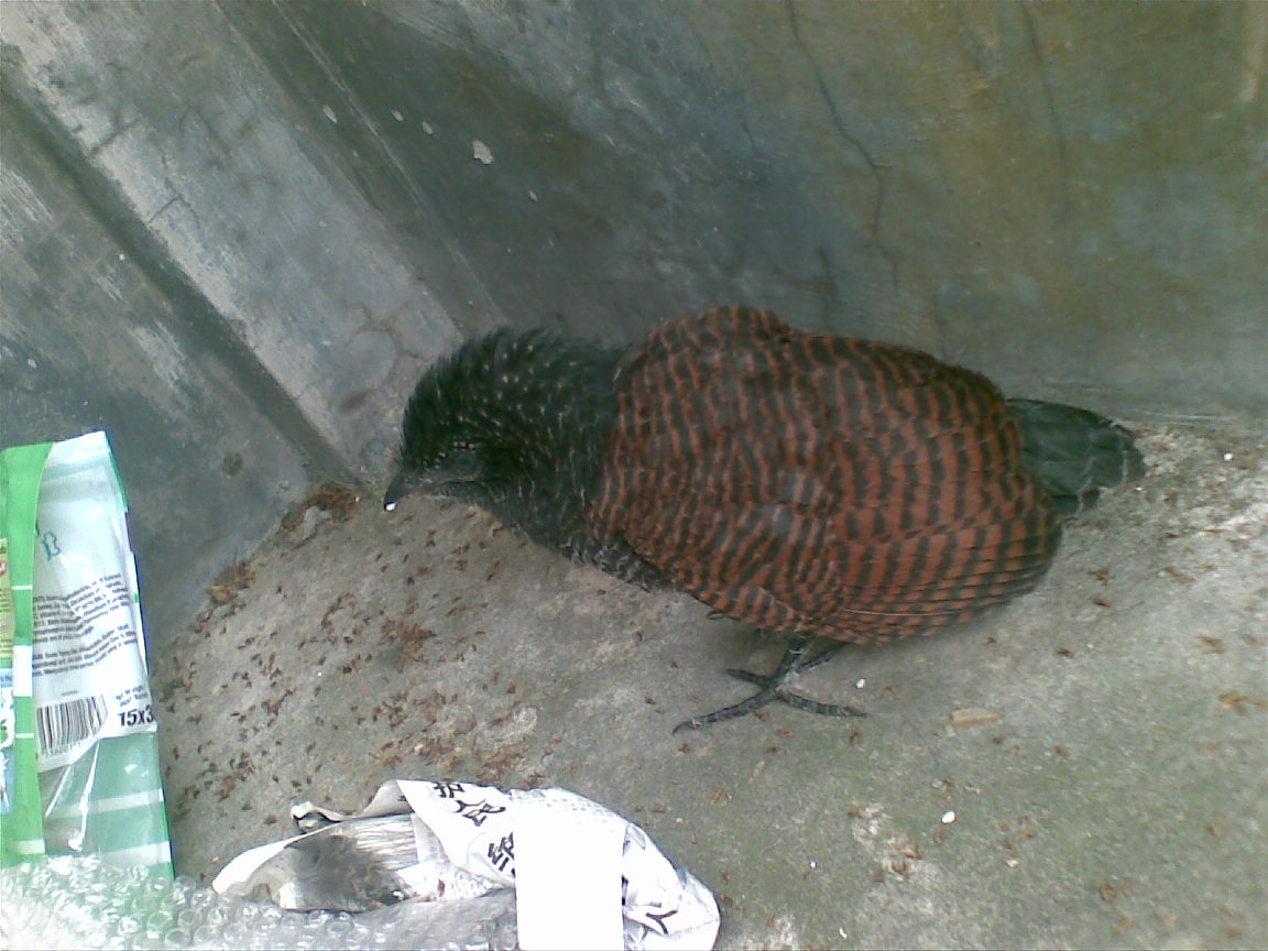 20080901(002).jpg