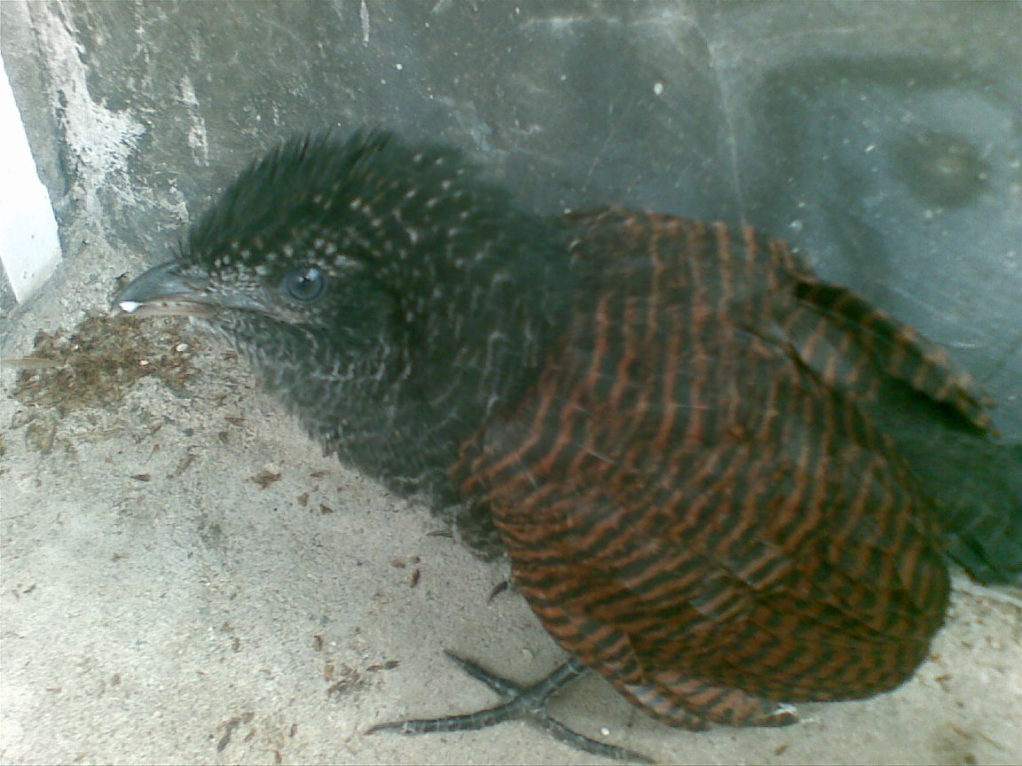 20080901(005).jpg