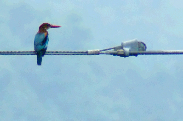 002700_˺.jpg