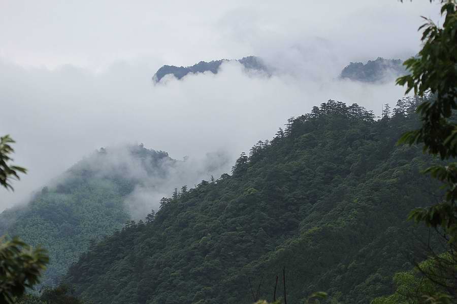 IMG_6470.jpg