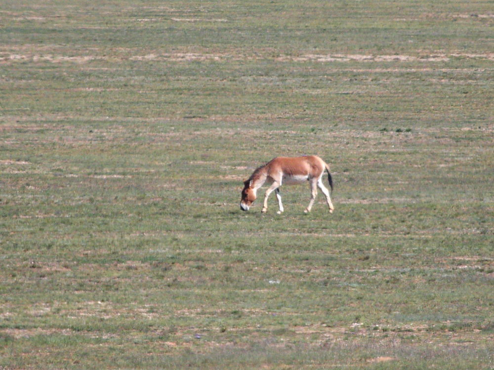 DPP_3249.JPG