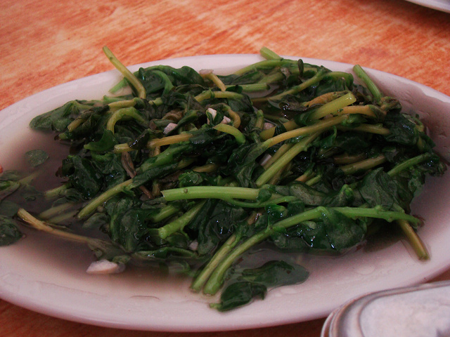 DSC04775.jpg
