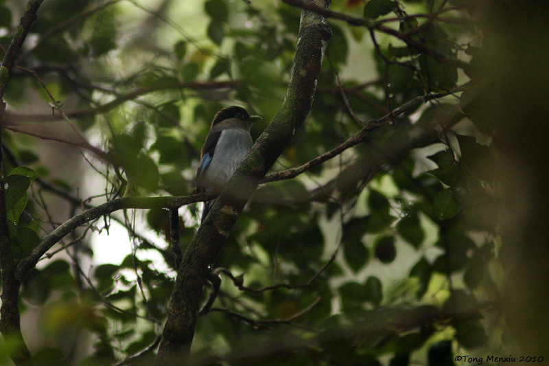 ˿-20100310ϲ-_05.JPG