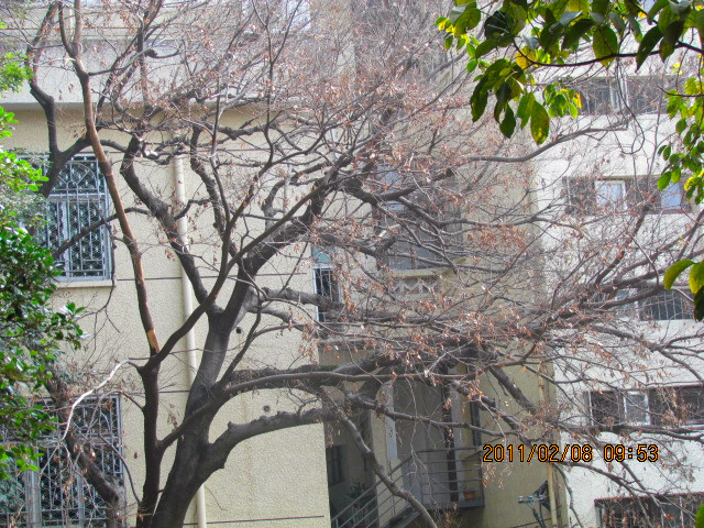 ws9.jpg