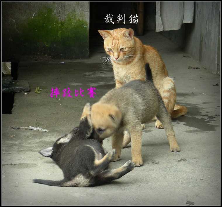 DSCN3751.JPG
