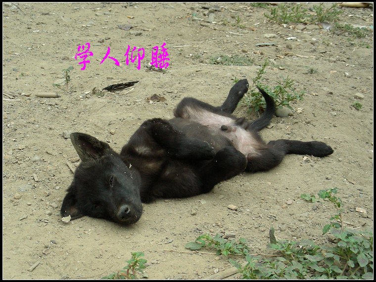 DSCN4133.JPG