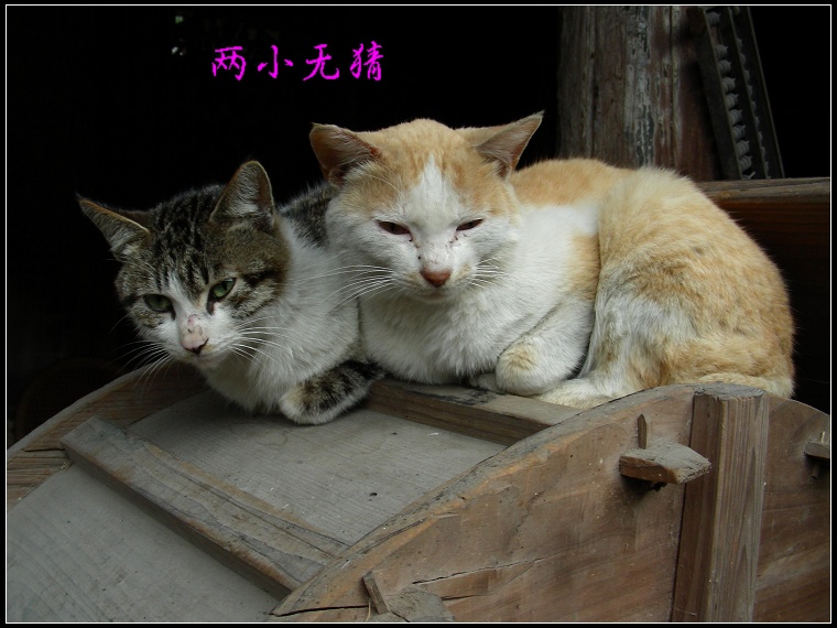 DSCN0859.JPG