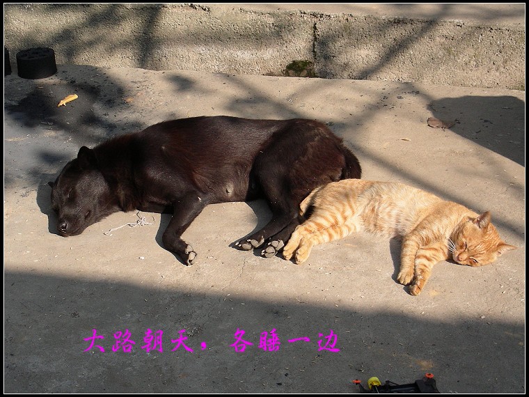 DSCN0883.JPG