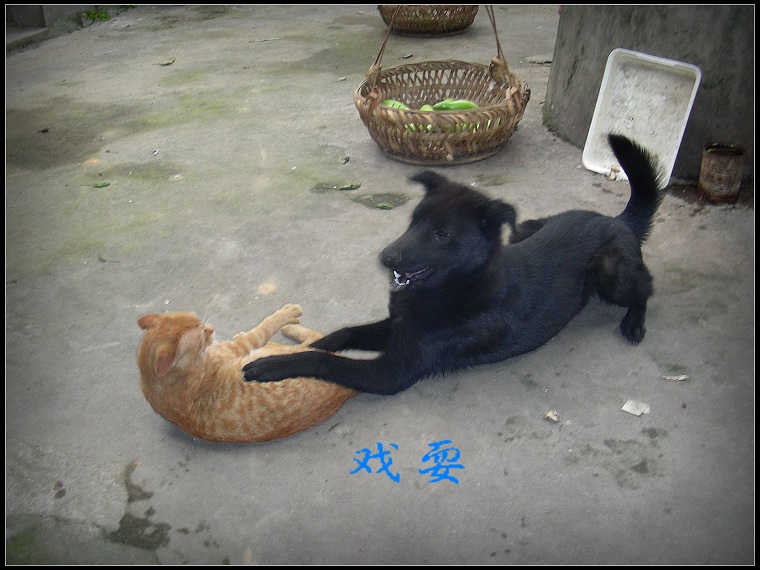 DSCN1111.JPG