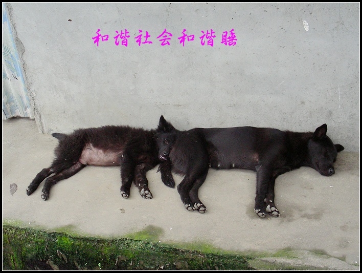 DSCN7506.JPG