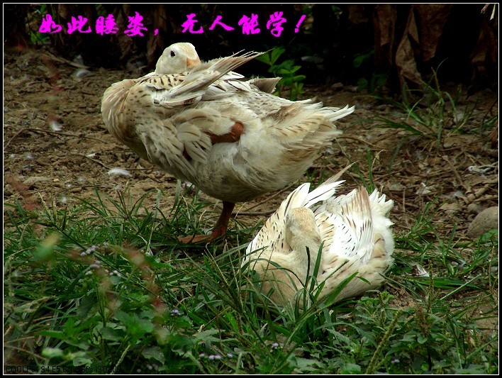 DSCN0648.JPG