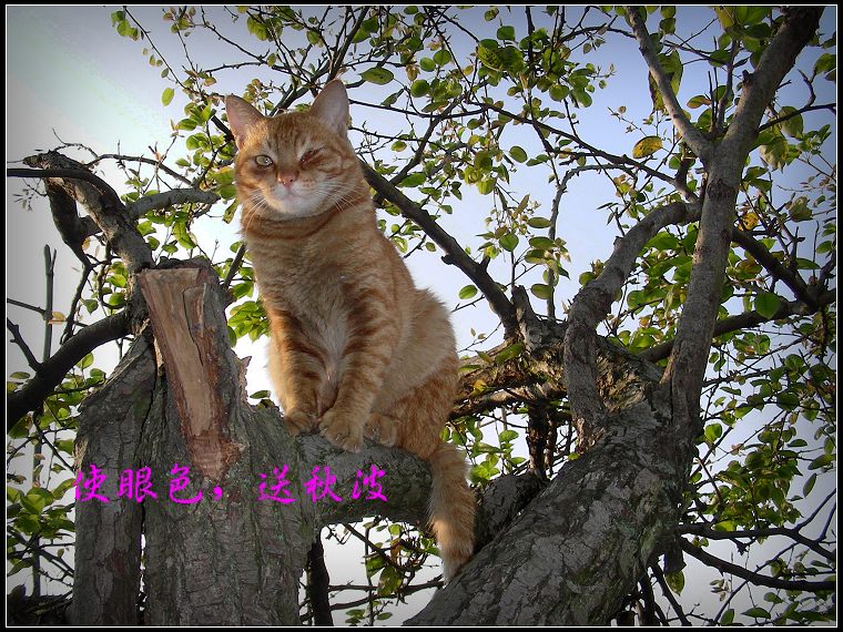 DSCN0893.JPG
