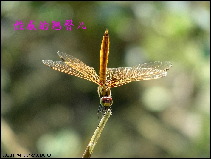 DSCN9569.JPG