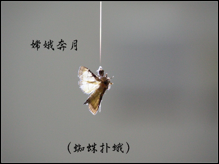 DSCN9314.JPG