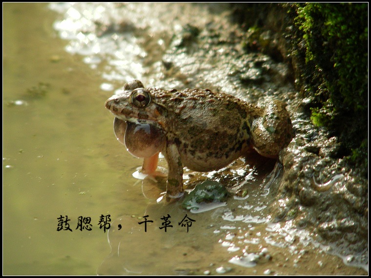 DSCN7291.JPG