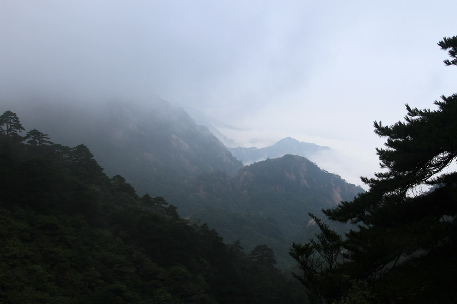 d407.JPG