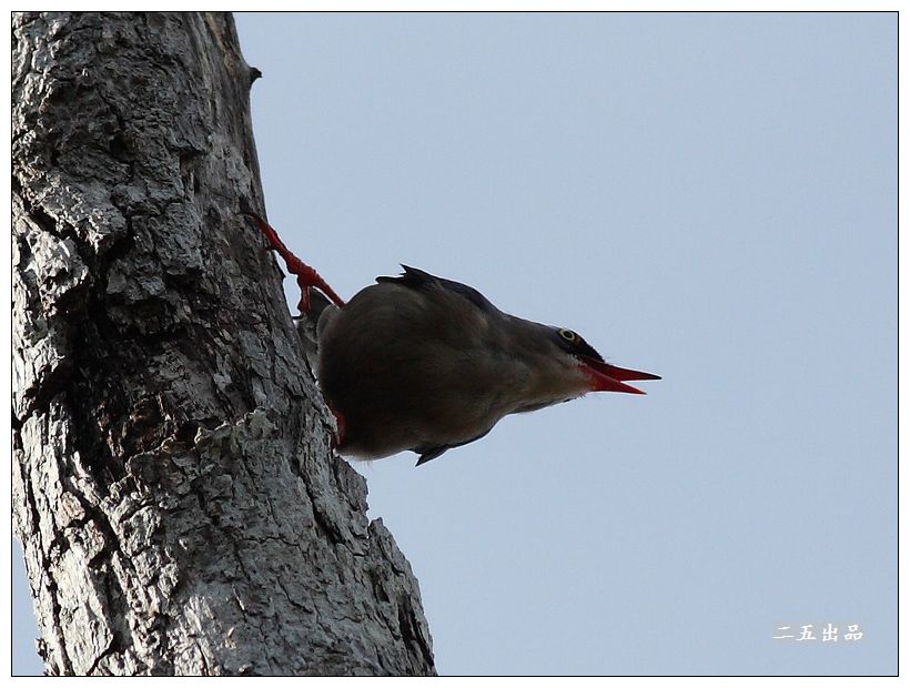 ޶[IMG_1482.jpg