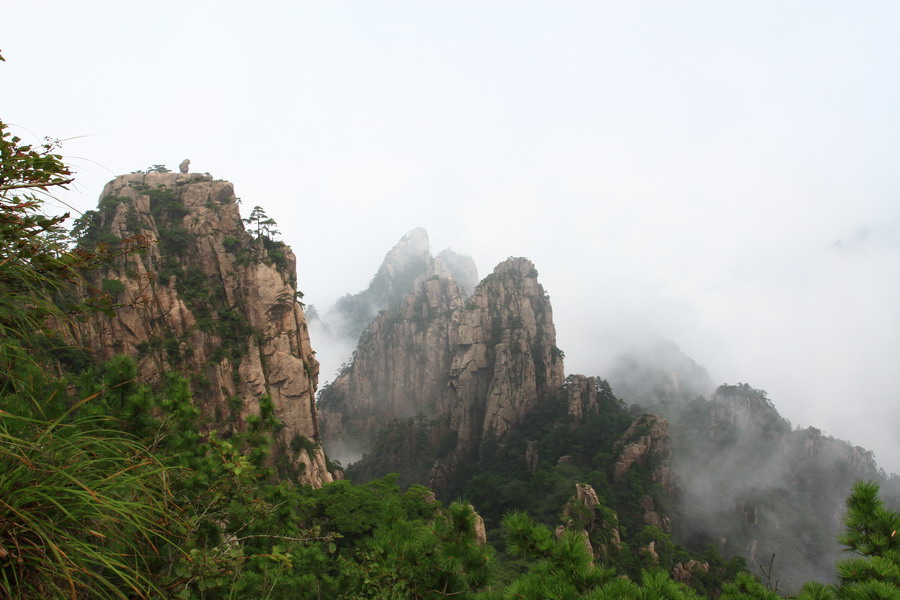 c509.JPG