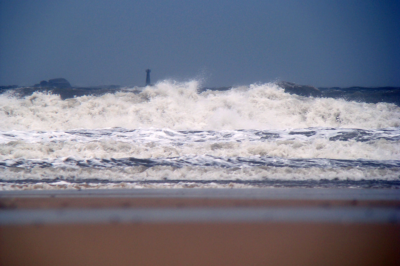 DSC07901.JPG