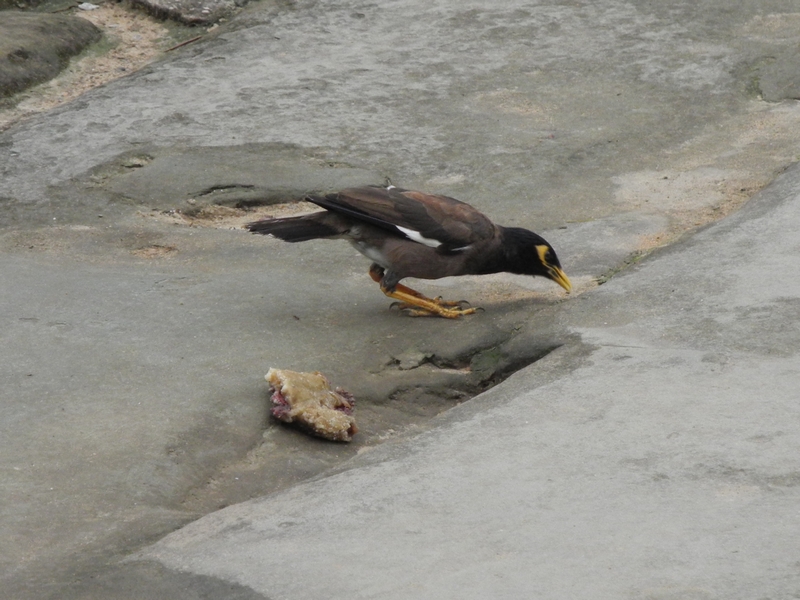 DSCN0863.JPG