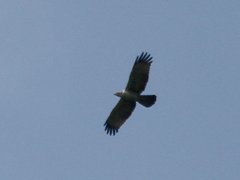 2011_10_27_0094.jpg