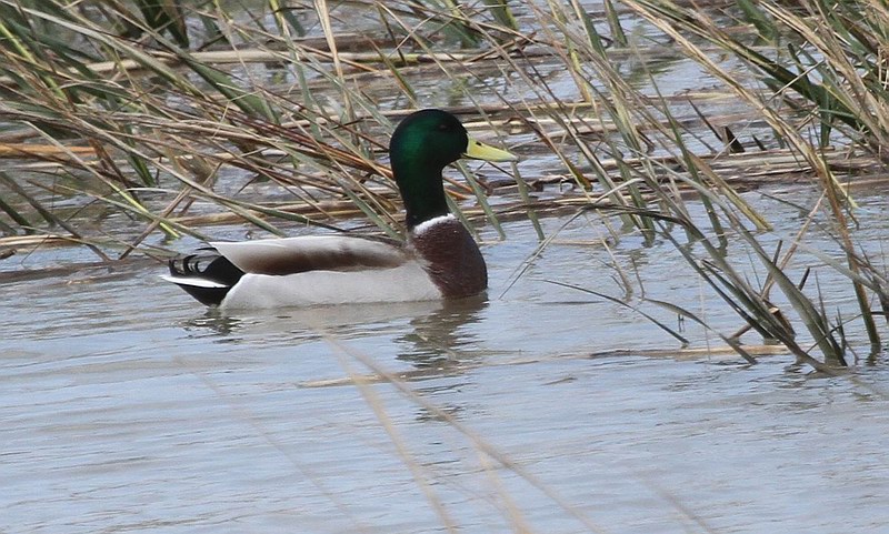IMG_8566.jpg