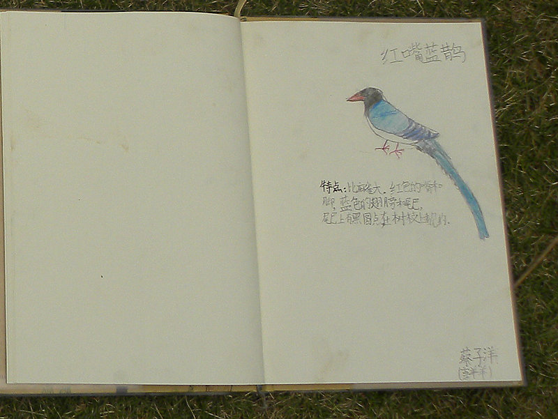 2011.10.30 105D.jpg