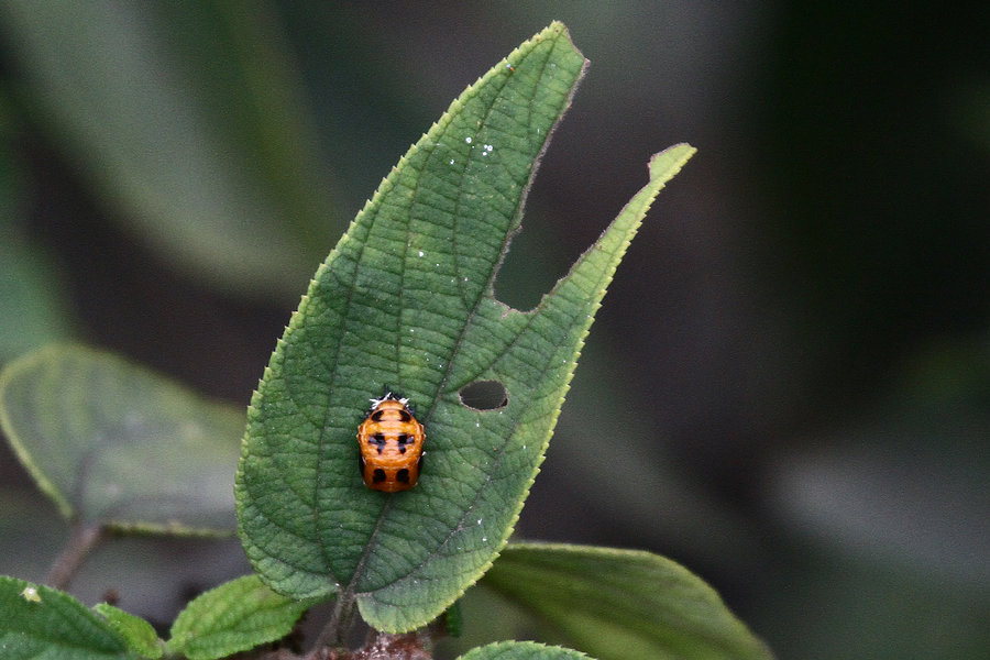 2011_10_30_0069.jpg