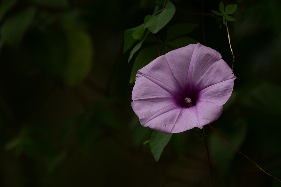 2011_10_30_0125.jpg