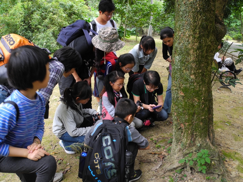 DSCN2153.JPG