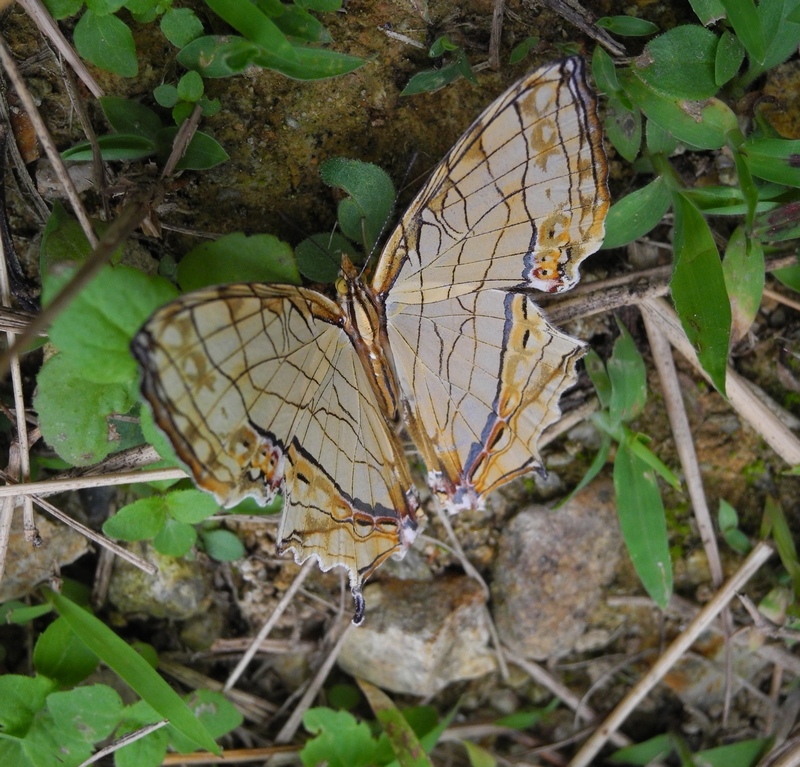 DSCN2146.JPG