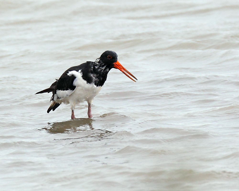 DPP_2613-1.jpg