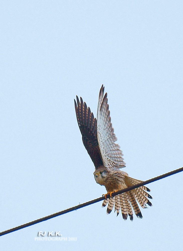 DSC07292a.jpg
