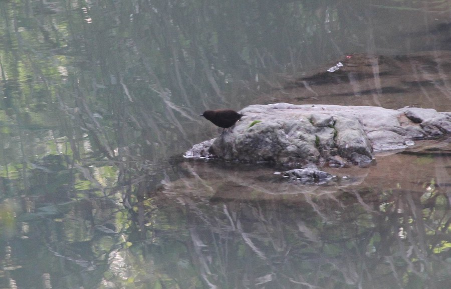 IMG_4745.jpg