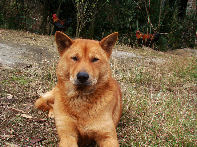 DSC08755a.jpg