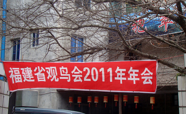 DSC08756a.jpg