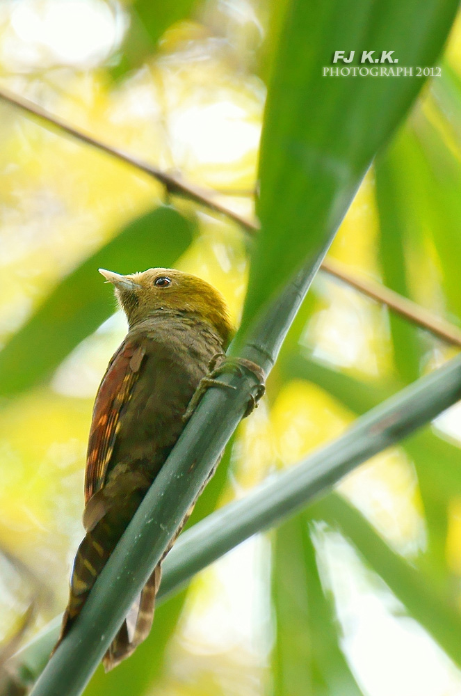 DSC05759a.jpg